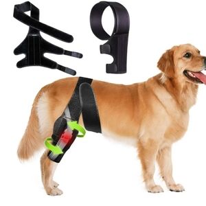 Black Dog Knee Brace Support
